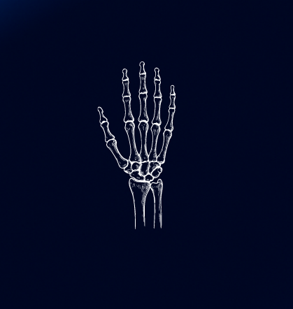 Hand & Handgelenk