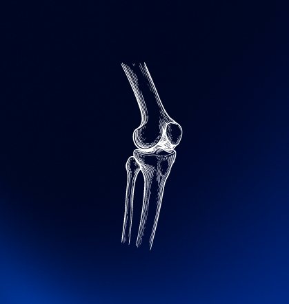 Knie