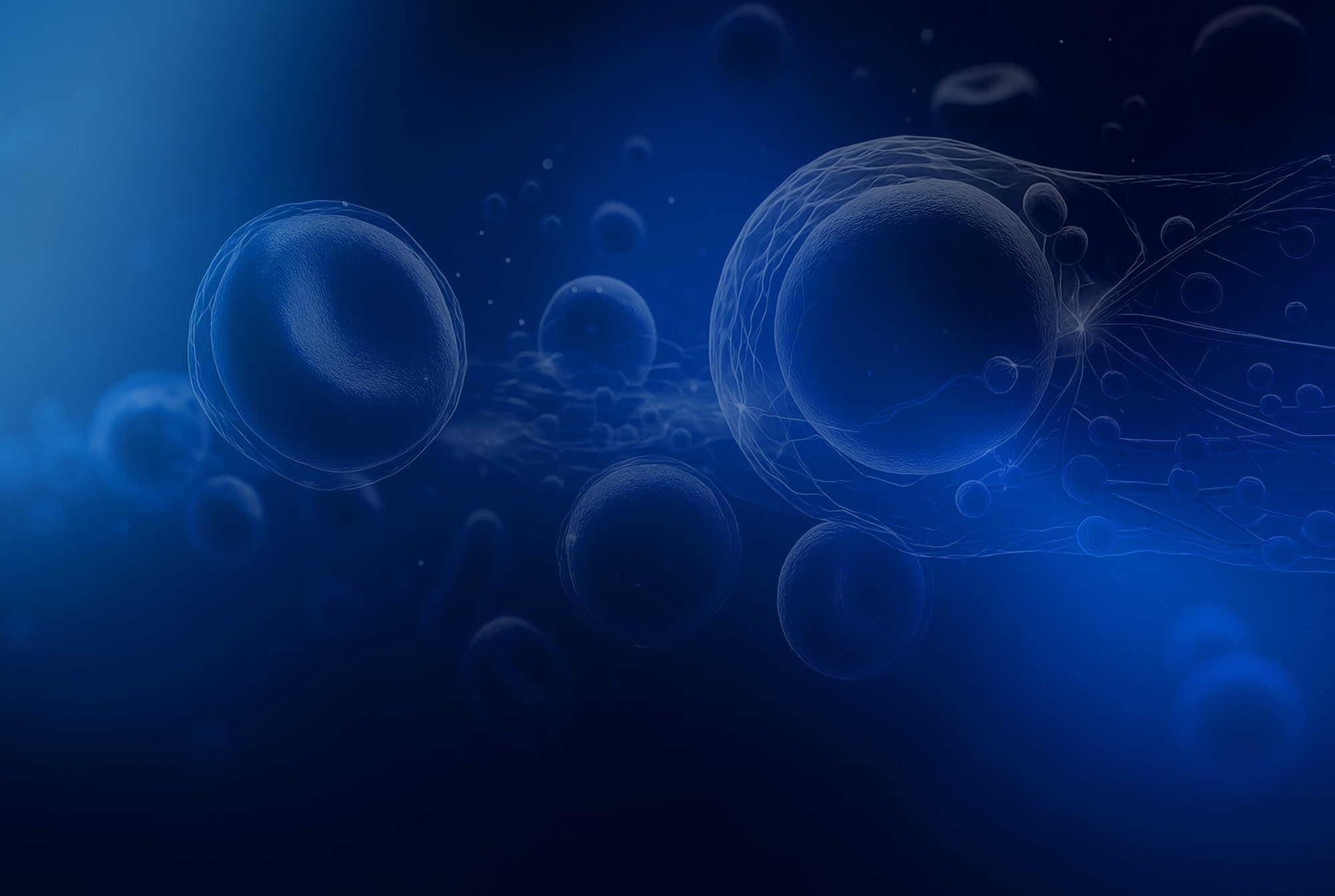 ACP Eigenbluttherapie in der Praxis Salum in Norden ACP Eigenbluttherapie Header